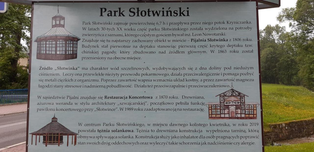 Apartament Zoya + Garaz Krynica Zdroj Eksteriør bilde